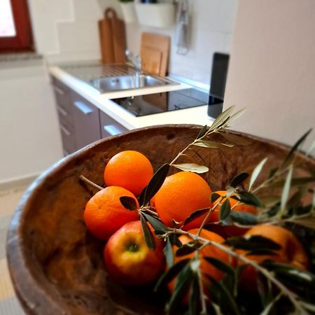 Studio Apartment Md Roč Buitenkant foto