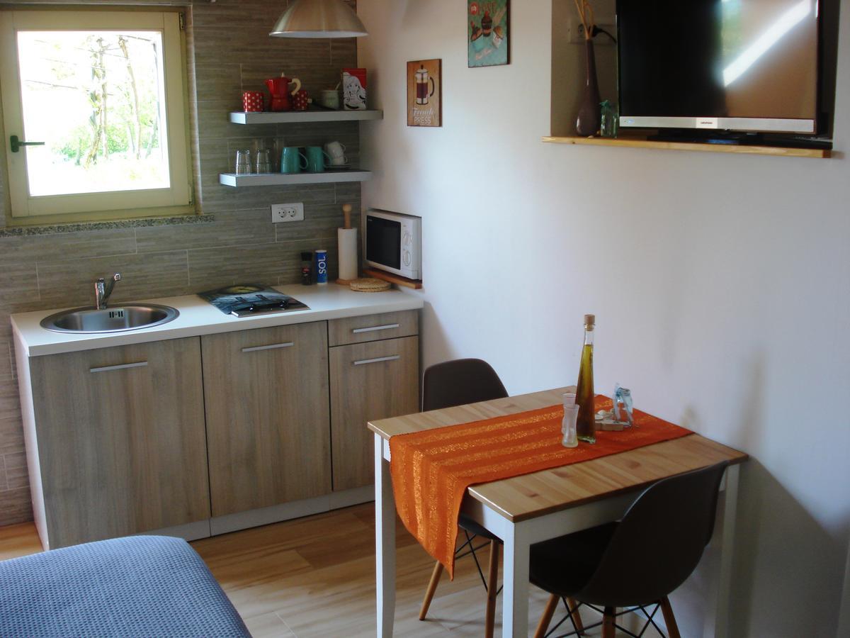 Studio Apartment Md Roč Buitenkant foto